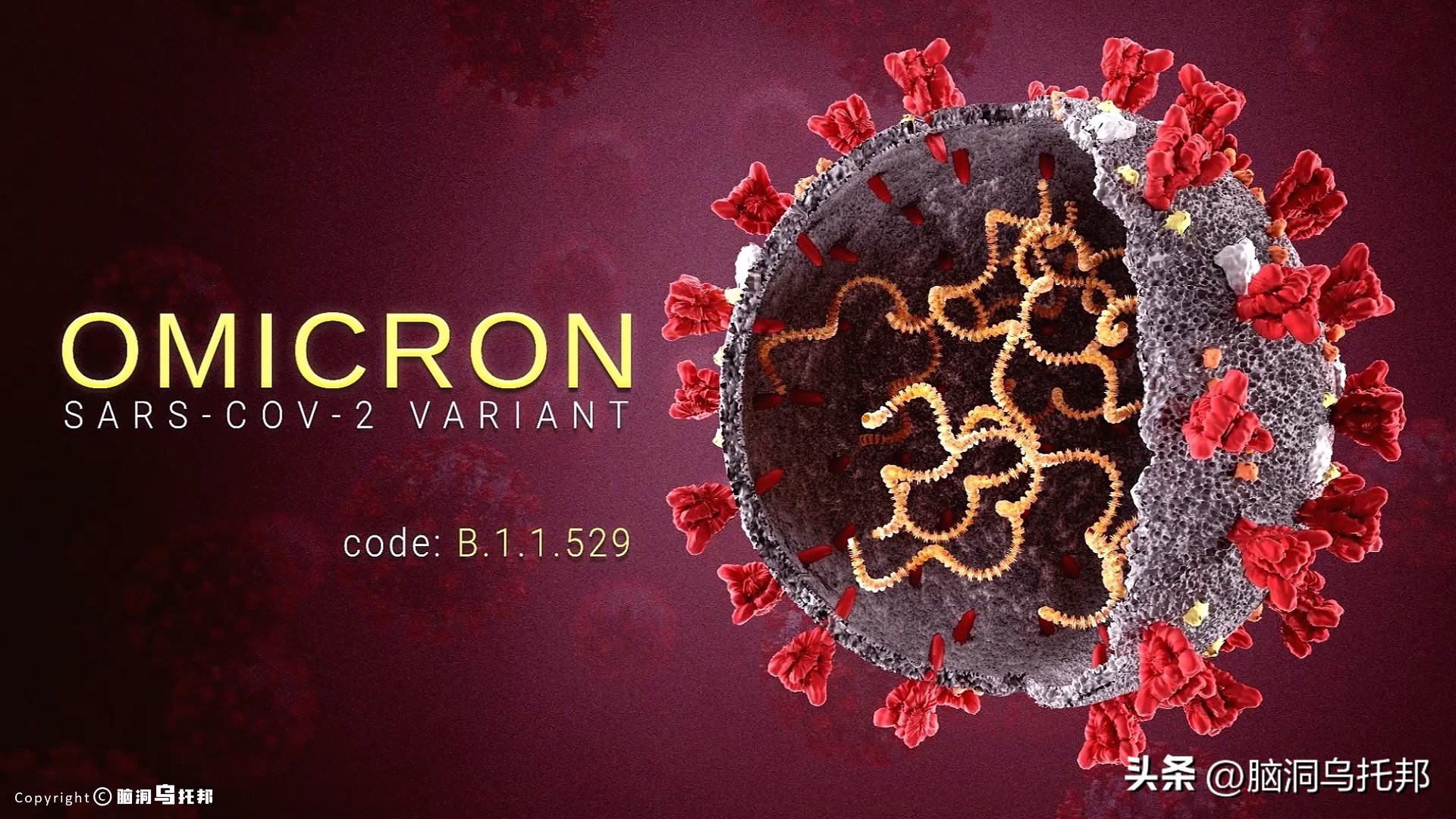 无症状感染是因为体质差吗,为什么有的人感染症状轻