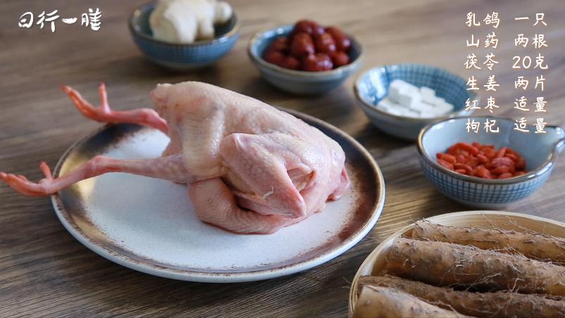 一鸽胜九鸡鸽子汤做法,一鸽胜九鸡汤功效与作用