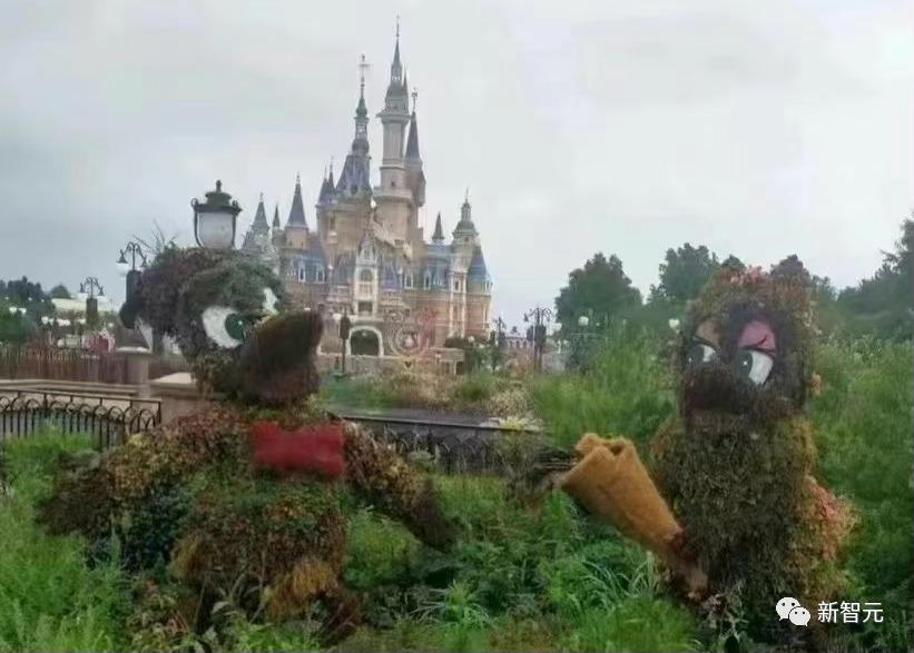 谷歌最美街景,未来的谷歌街景