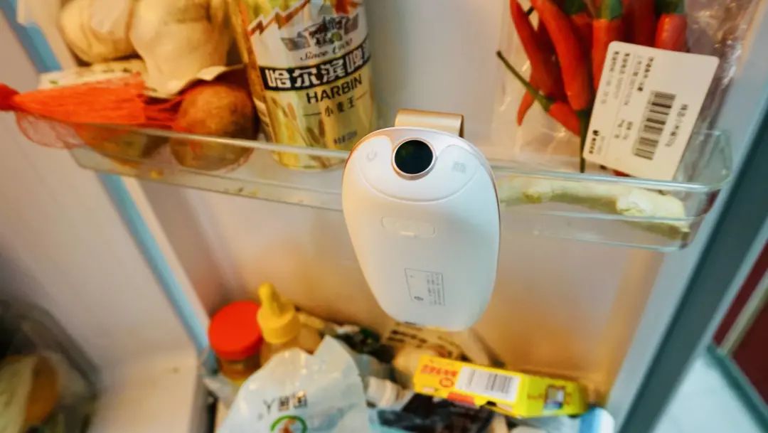 冰箱除味杀菌净化器,中山市杀菌除味器