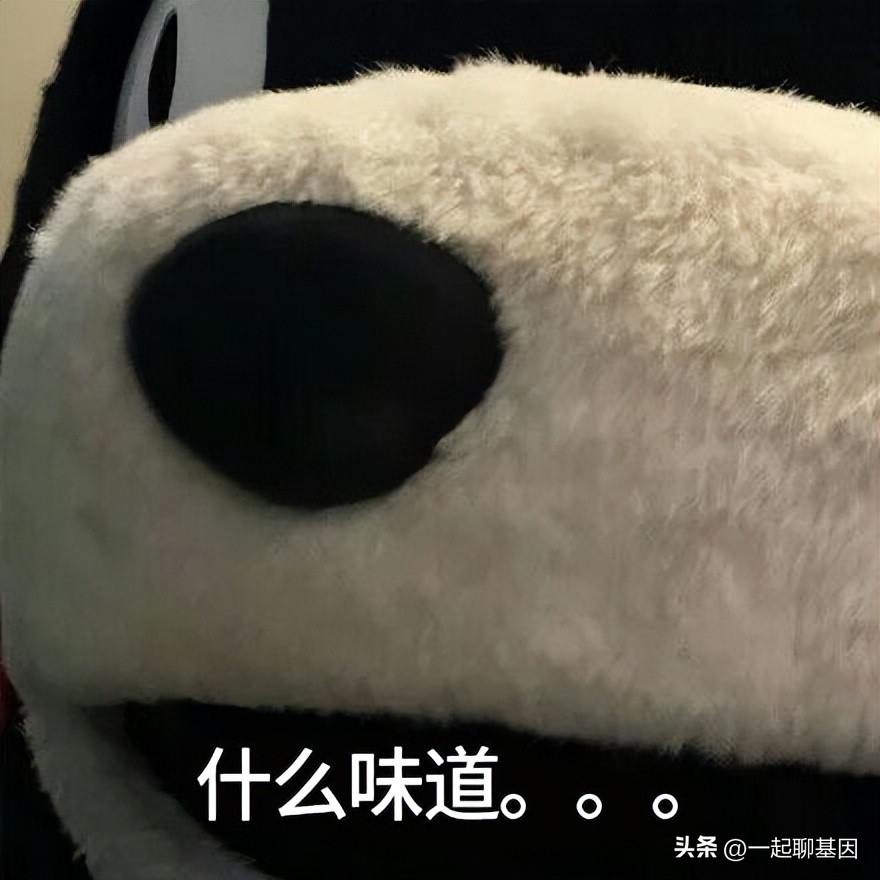 如何在公共场合防止放屁,如何在公众场合阻止放屁