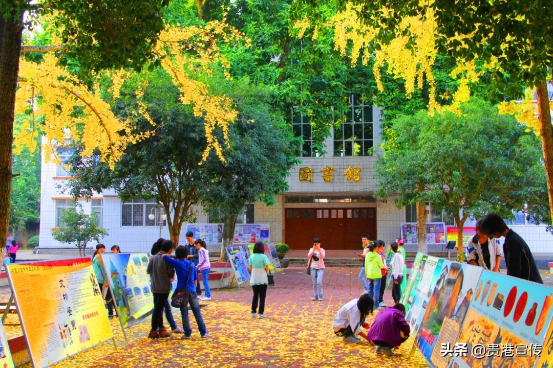 广西贵港的记忆,贵港回忆