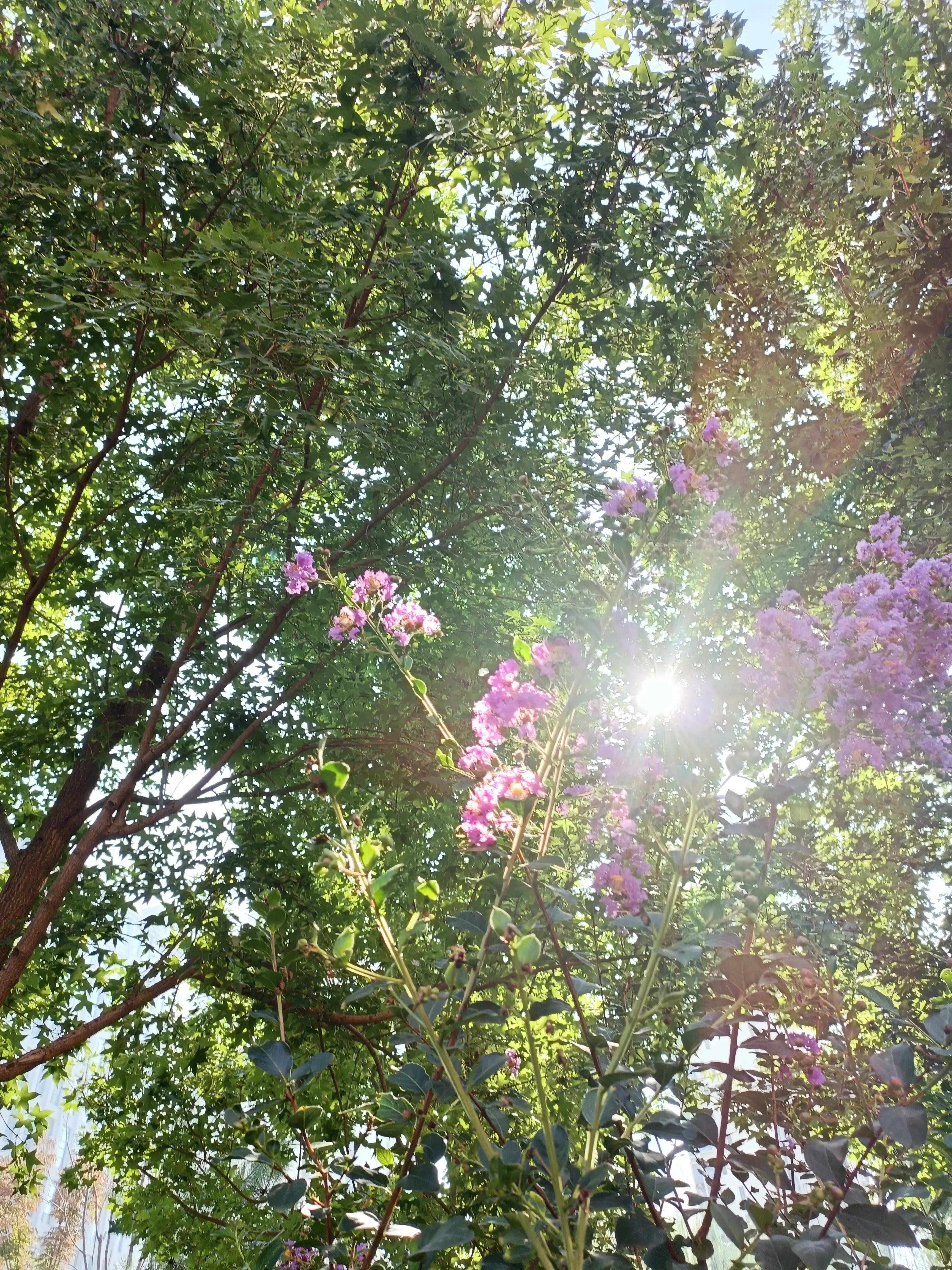 天要下雨娘要嫁人该不该去,天要下雨娘要嫁人有什么办法呢