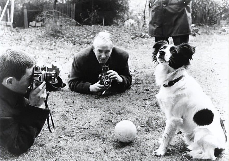 拯救世界杯奖杯的“英雄”狗狗丨足球遇到宠物系列