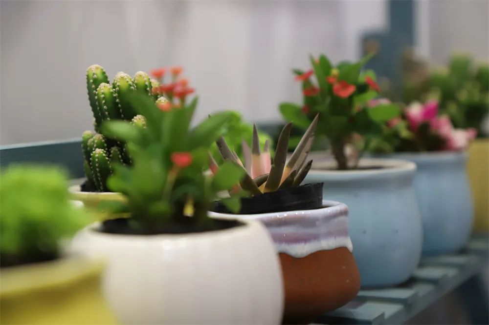 惊艳！！！西译商业街上线