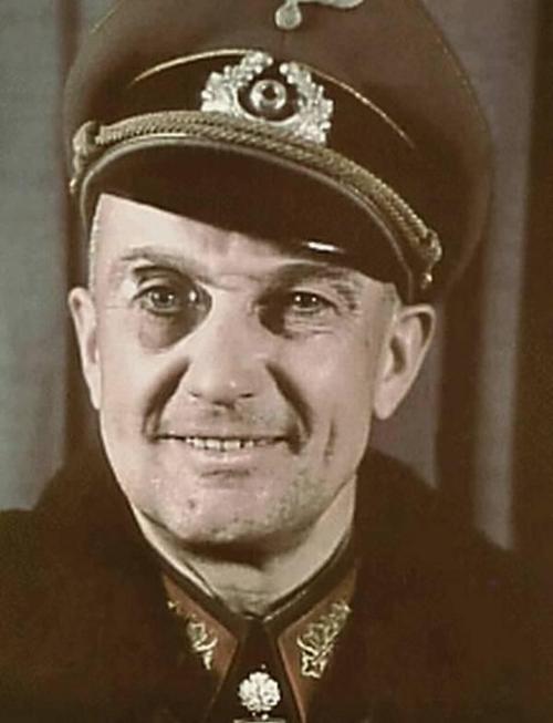 防御大师莫德尔的战术,德国防御战大师莫德尔