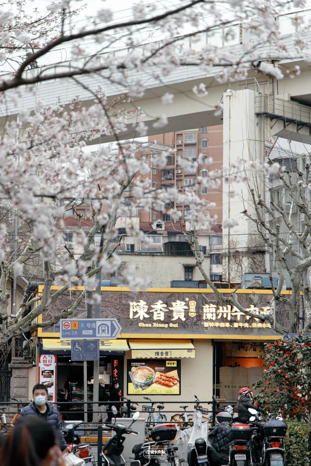 樱花最旺盛的时间,樱花最茂盛的时候是哪个季节