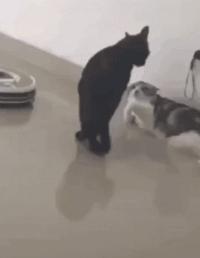 好不容易把钱还完了,好不容易把债还完了