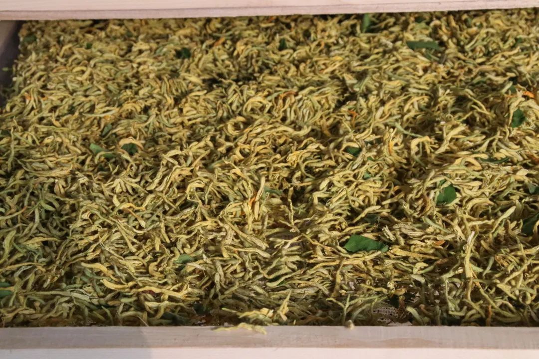 种植金银花带动村民增收,金银花种植致富案例