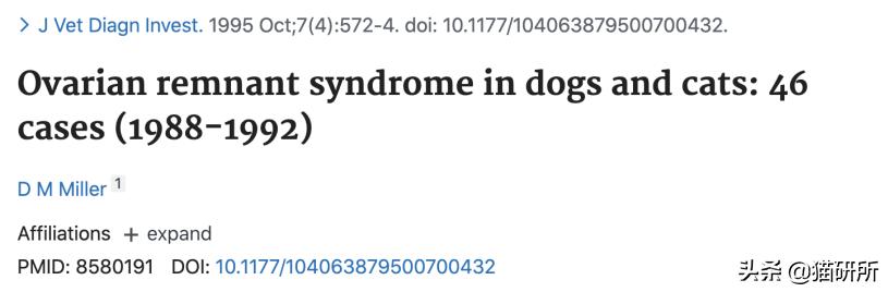 猫咪做了绝育还发腮吗,猫咪做了绝育还乱尿吗