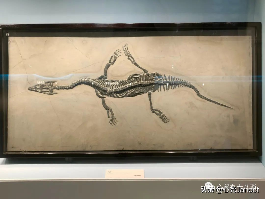 石景山国家博物馆,探秘石景山区博物馆