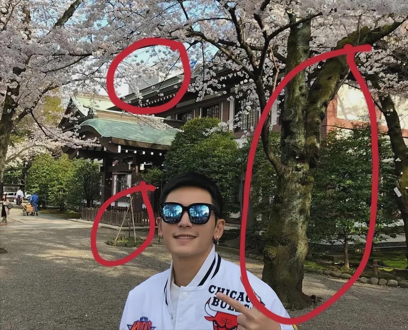 赵薇事件后续报道,现在赵薇事件怎样了真实报道