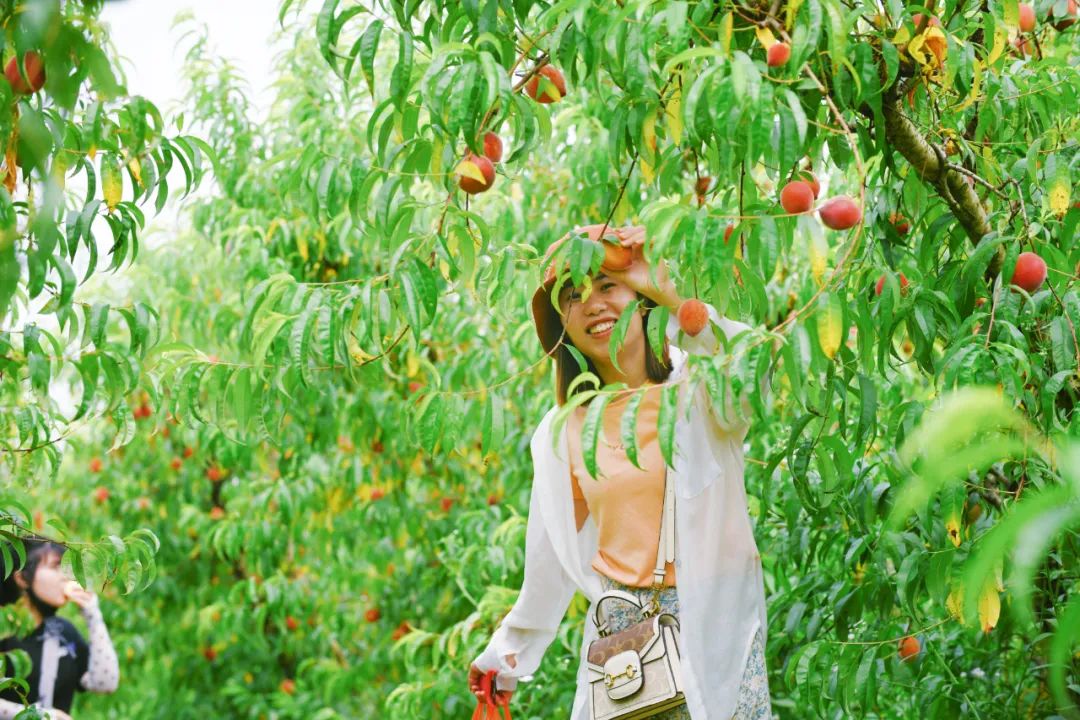 线上逛年货|不私藏了，这份龙丘珍味清单请签收！