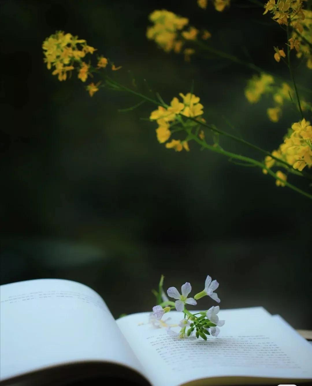 读书的方法和技巧书推荐,掌握阅读技巧很有必要