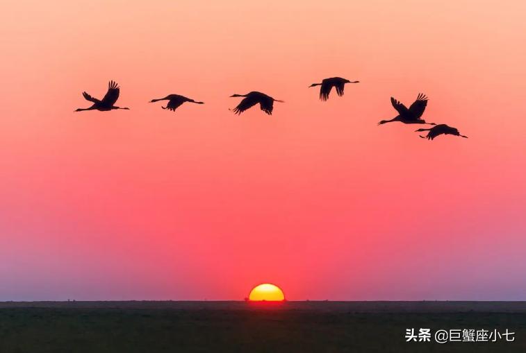 从来不愁钱的星座男生性格,无比精明深藏不露的星座男