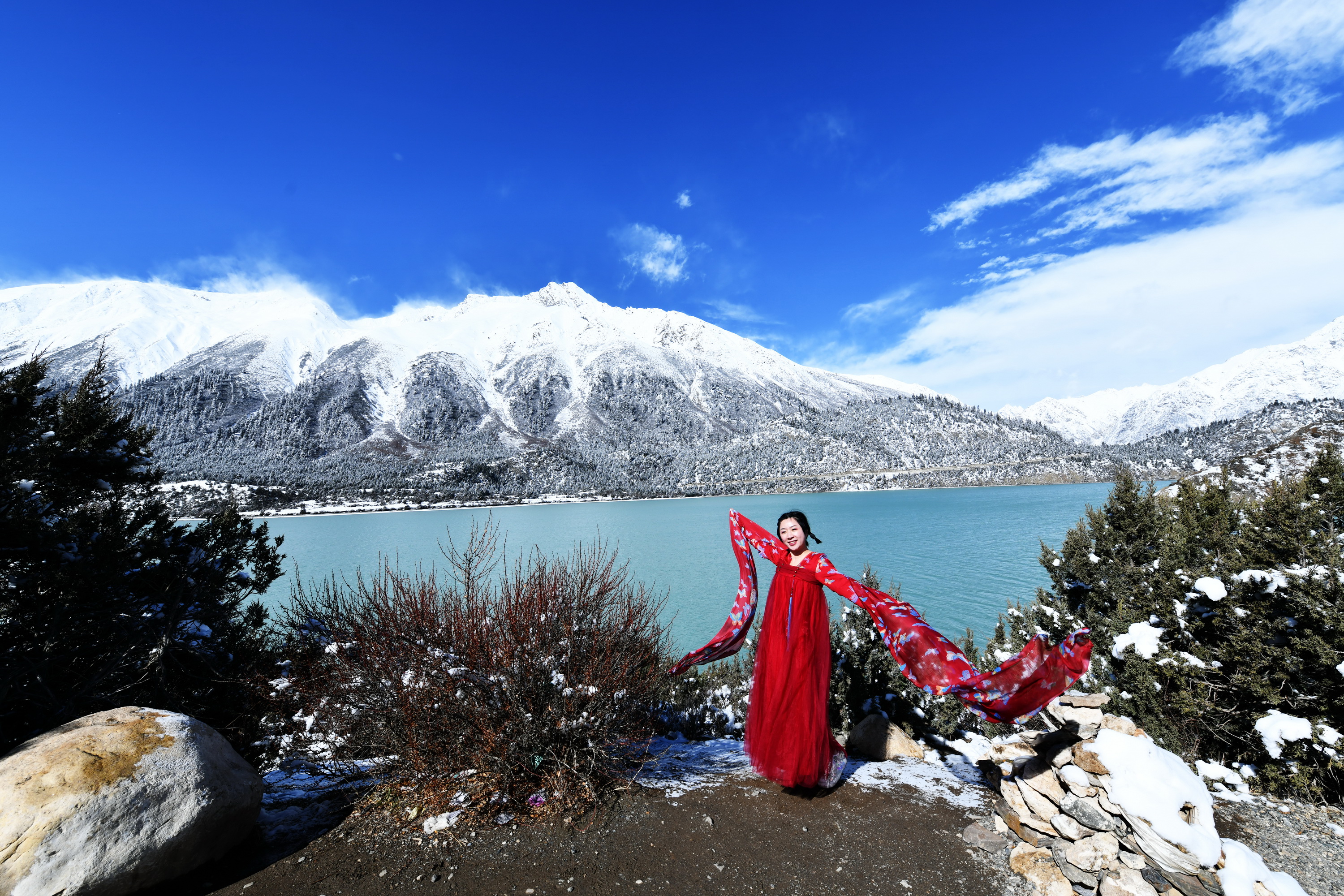 雪域林芝桃花图片 (在雪域江南西藏林芝邂逅漫山桃花)