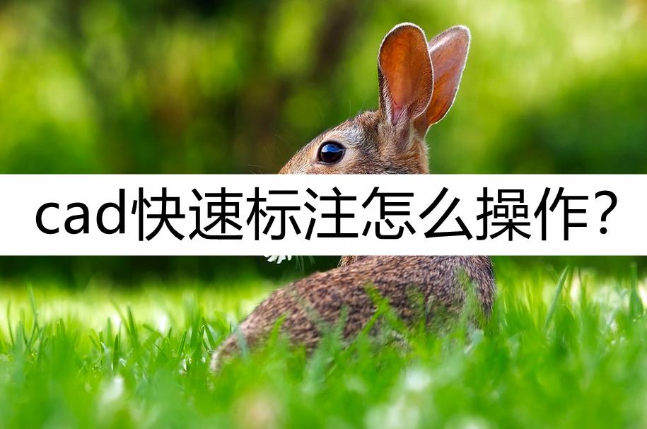 cad快速看图坐标标注怎么调出来,cad快速看图标注后发出去又看不到