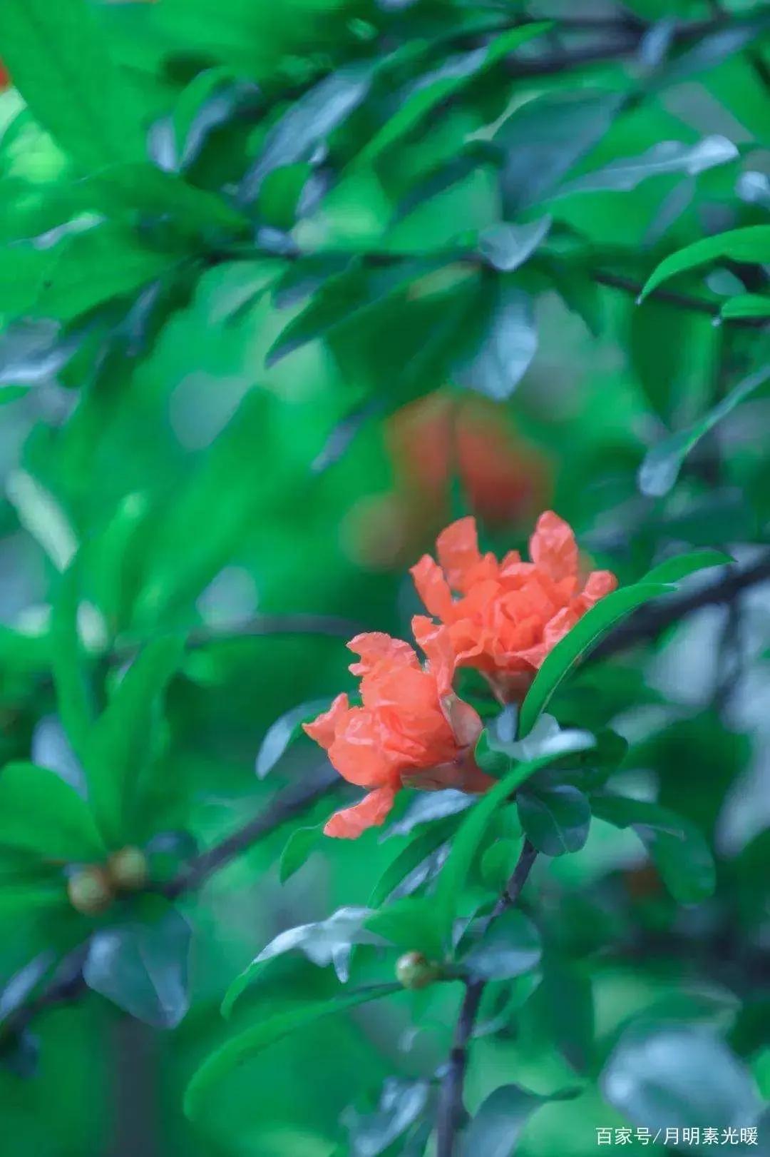 外汇投资方法和技巧,外汇的投资方式