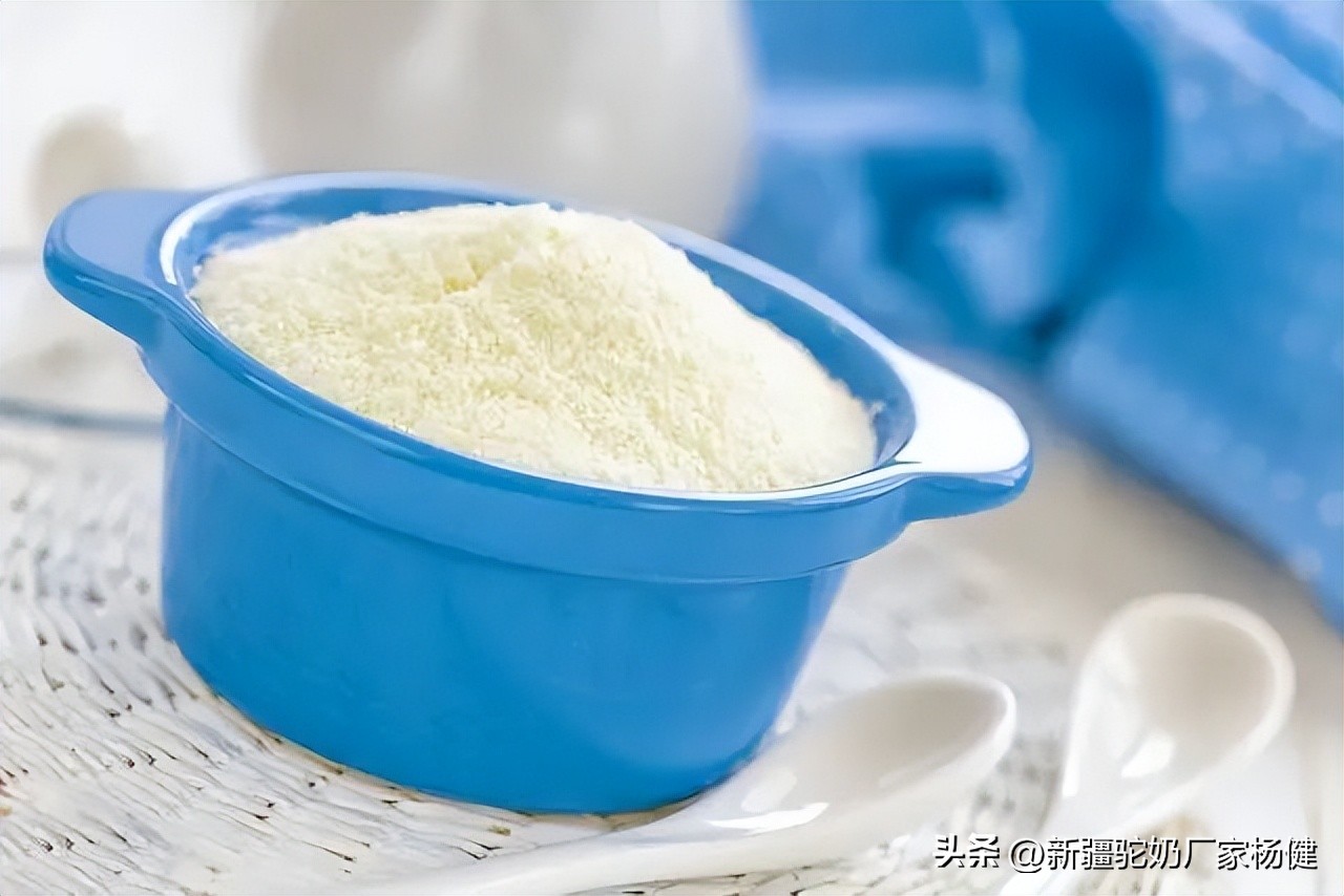 骆驼奶粉的好处你知道多少,关于骆驼的这些小知识你知道吗