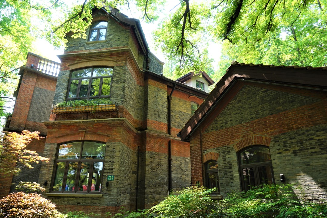 深度解析上海理工大学,上海理工大学小吗