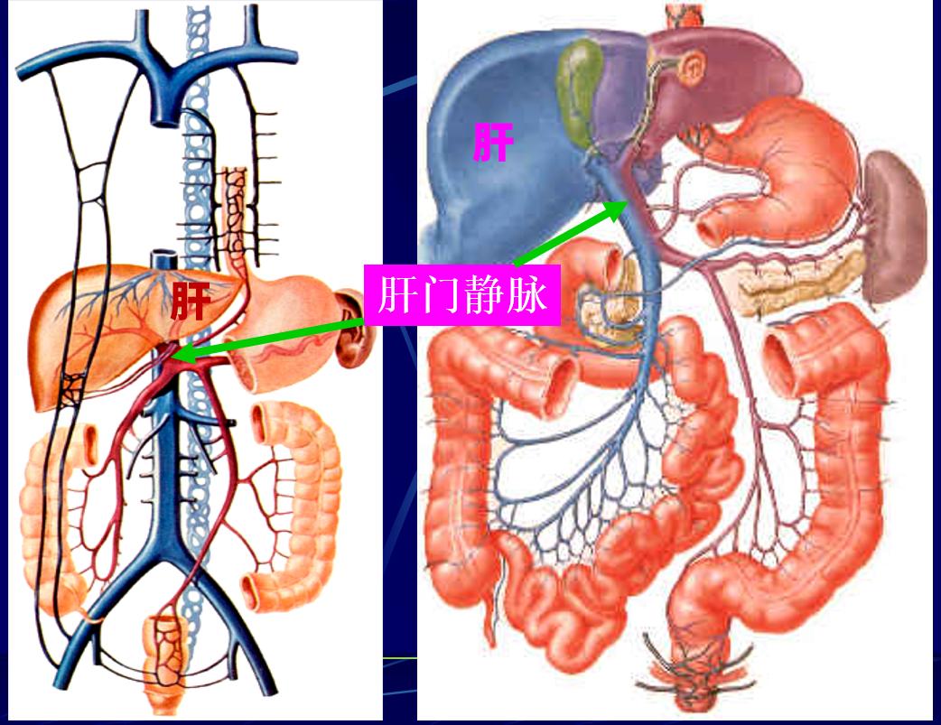 35岁男性体检必查项目,男性37岁体检检查哪些项目