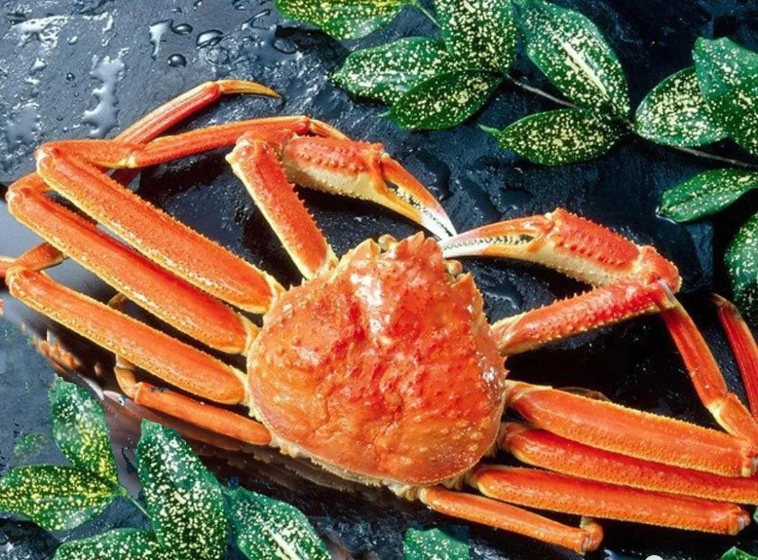 活螃蟹能吃死螃蟹能吃吗,哪两种螃蟹死了不能吃