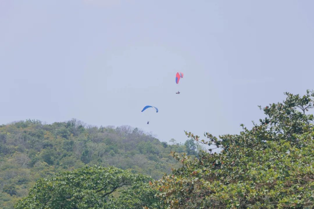 鍘绘嘲鍥芥浖璋峰拰鑺彁闆呯殑鏀荤暐,鍘绘嘲鍥界帺杞浖璋疯姯鎻愰泤
