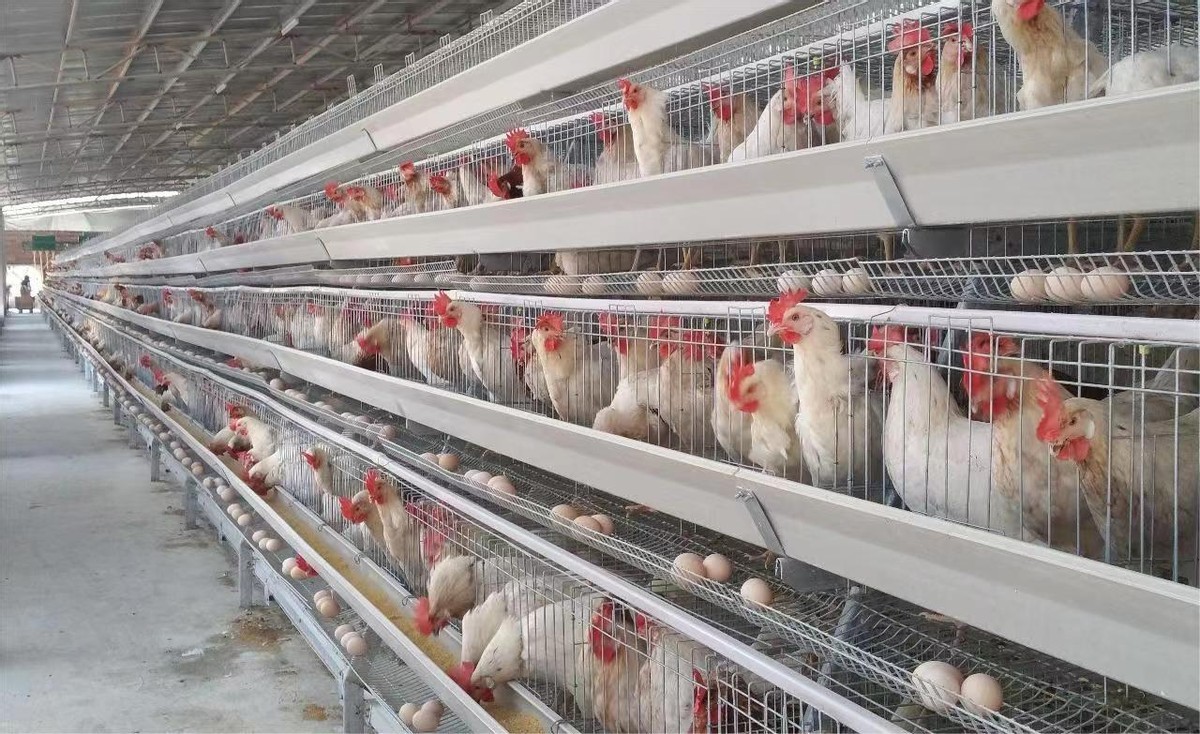 阿坝州投资,阿坝州最新投资项目