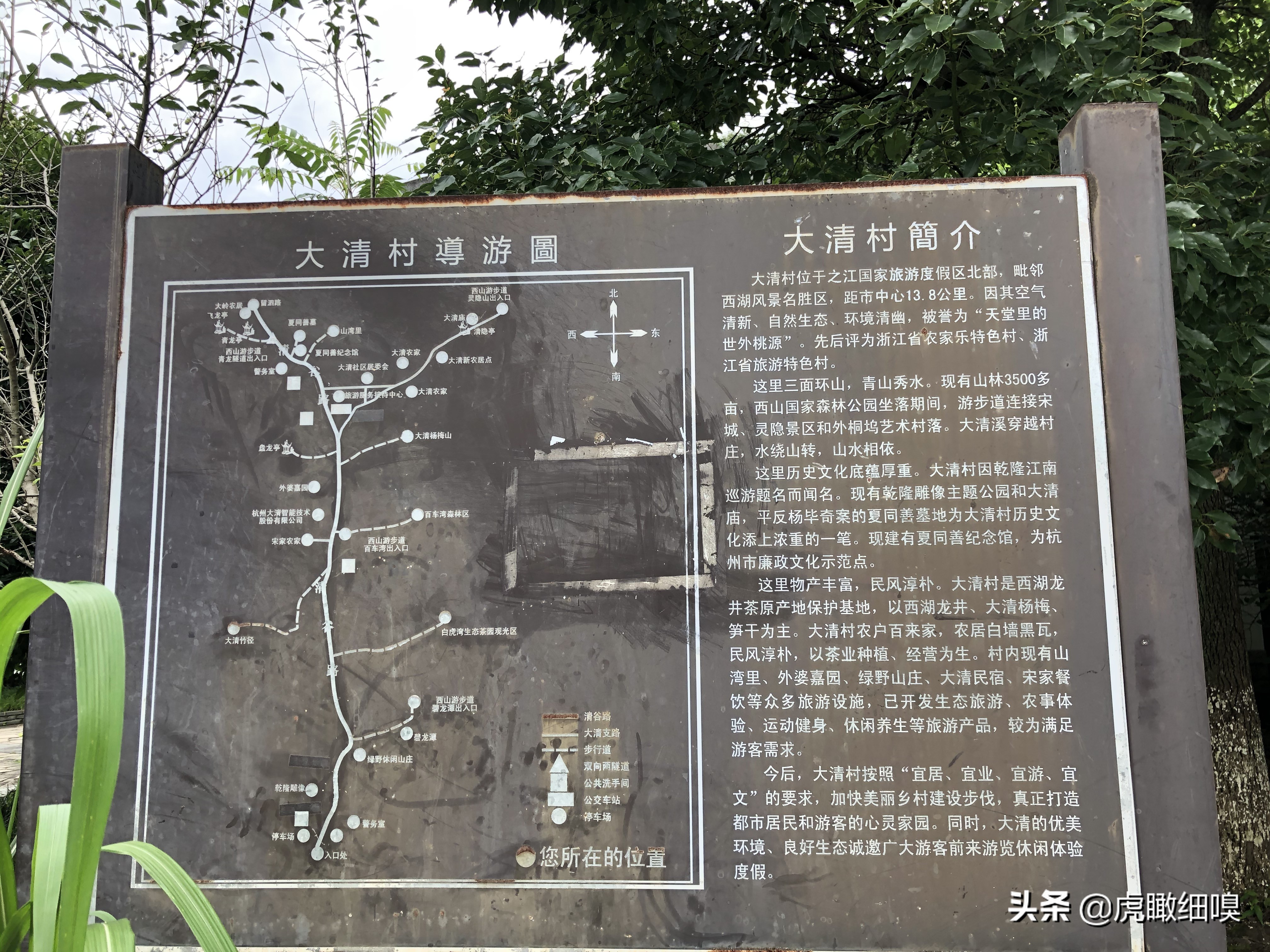 杭州最有名的茶旅,杭州盛产茶的地方有哪些