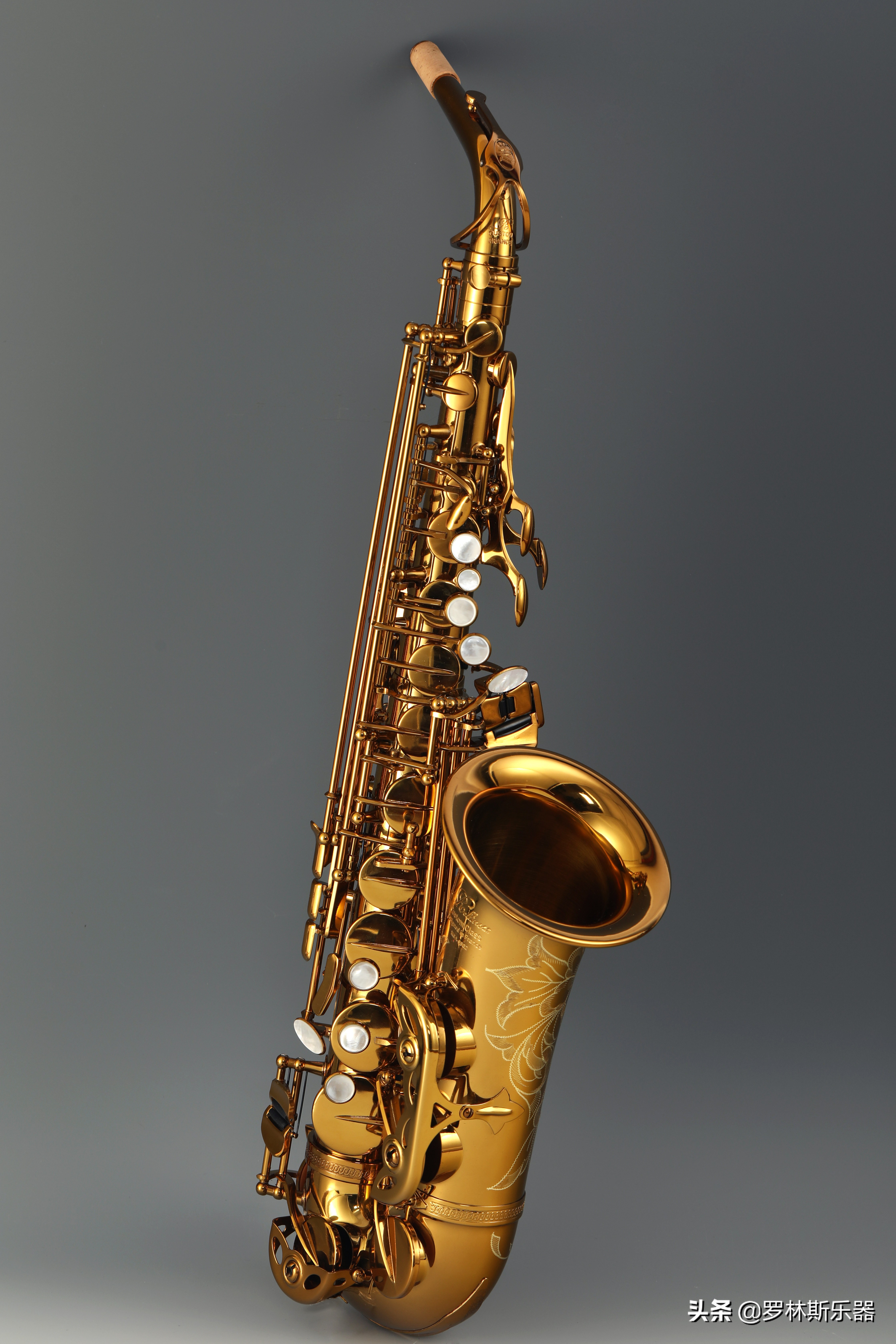 萨克斯初学者应该买什么样萨克斯,萨克斯好学吗入门难不难