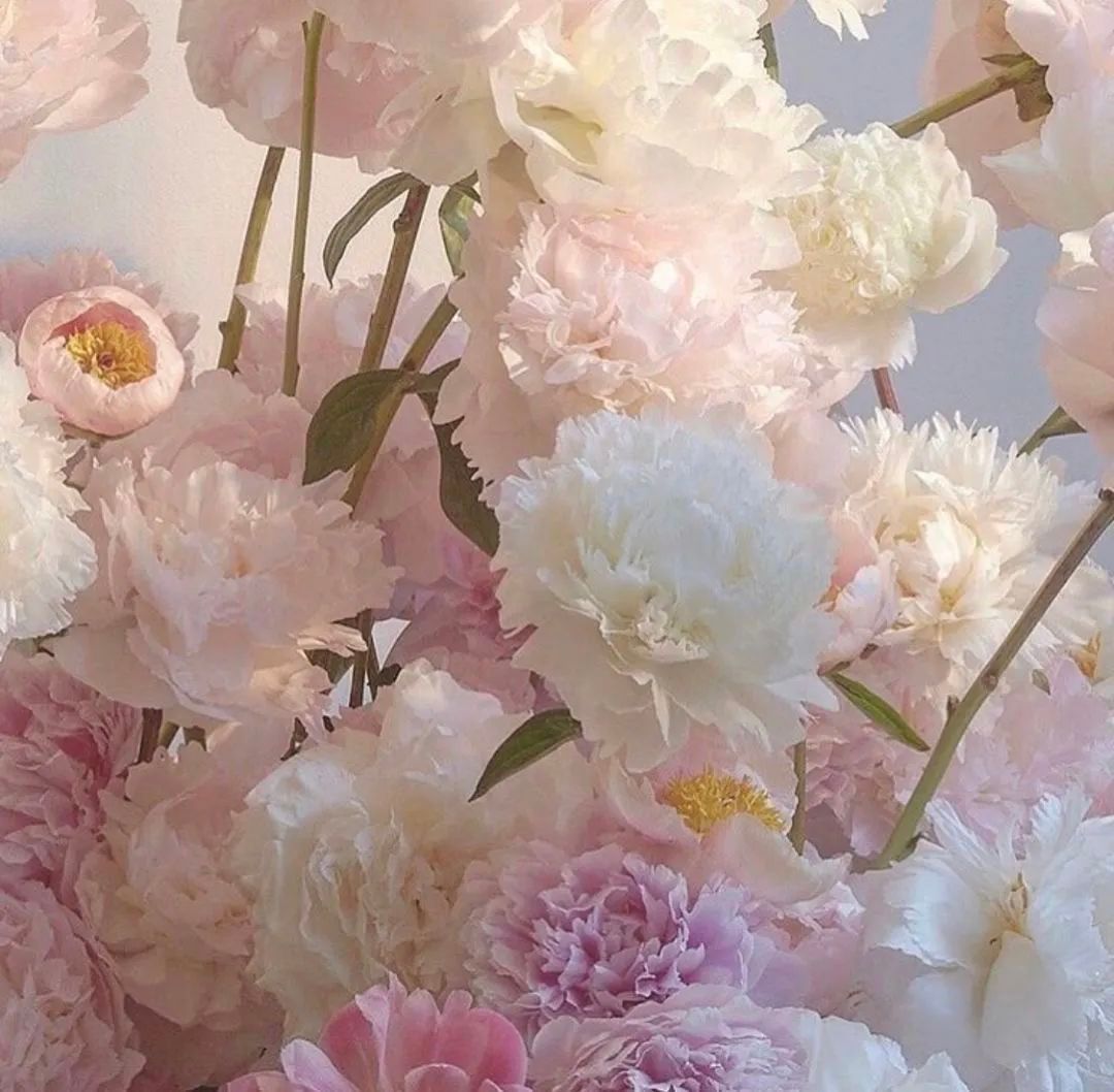 背景图ins风鲜花,ins复古黑色鲜花壁纸