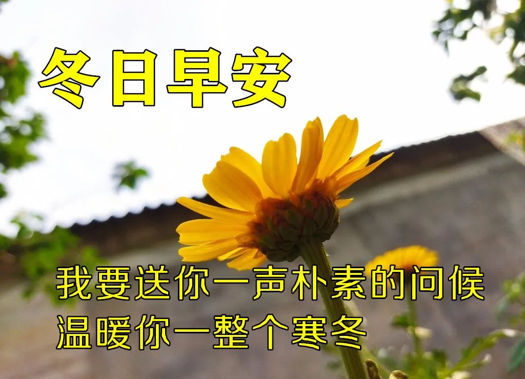 早晨阳光表情图片,秋季清晨非常漂亮早上好表情图片