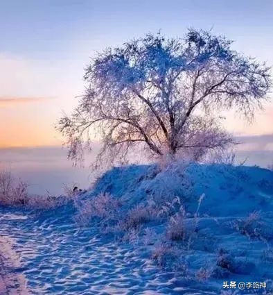 冰雪游专列,冰雪列车东北之旅