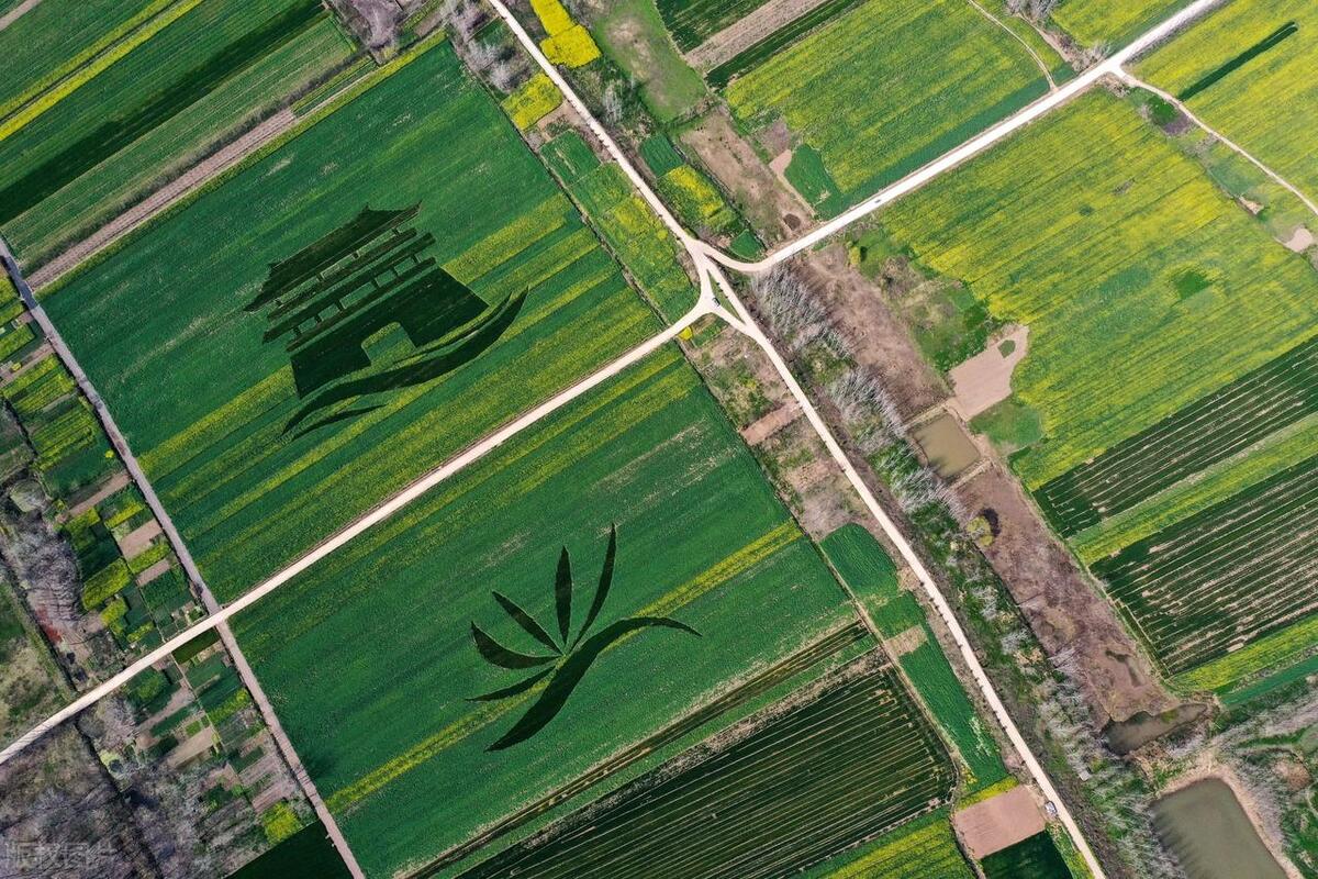 鄂州旅游吃什么好,鄂州旅游吃什么好吃的东西