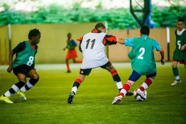 法国足球真正的力量,法国足球实力