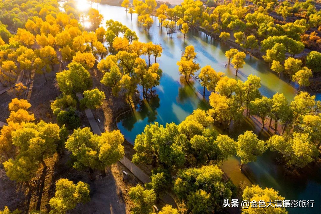 额济纳赏胡杨视频,赤峰额济纳赏胡杨