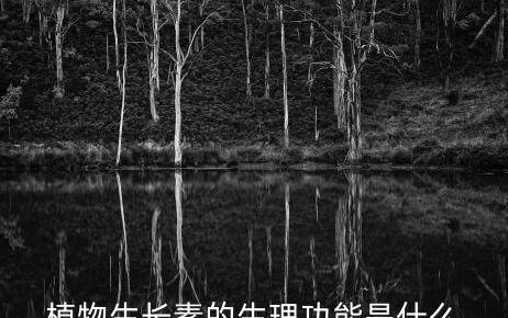 植物生长素的作用特点是什么,植物生长素的生理效应