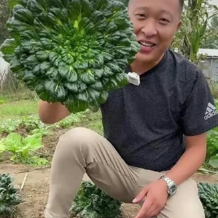 90后辞掉月薪5000的工资回家种地,90后返乡种地年入百万