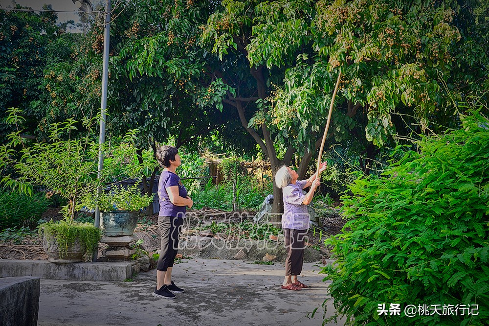 五一适合去哪旅游珠海海边,五一珠海旅游免费景点推荐