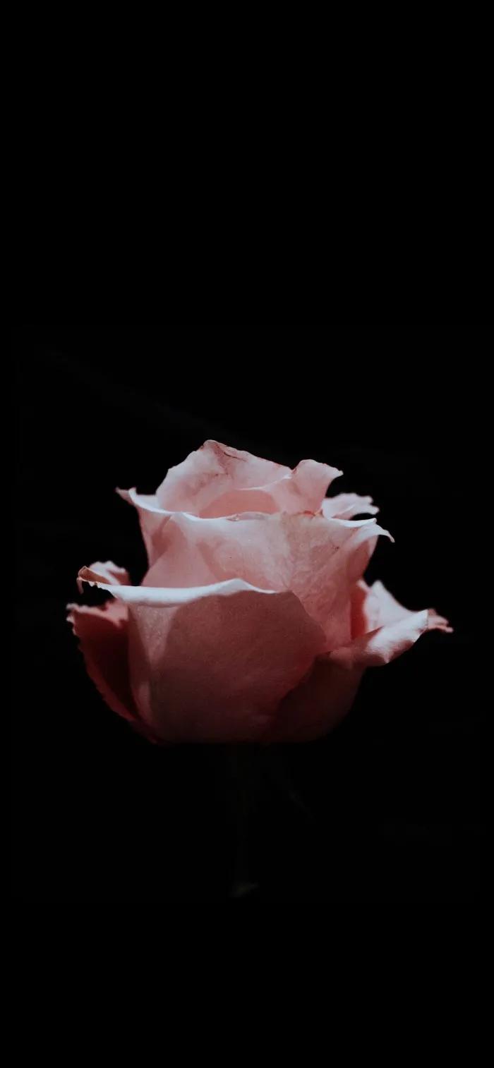 最美的光背景图片,超好看的夜晚蓝色的背景图