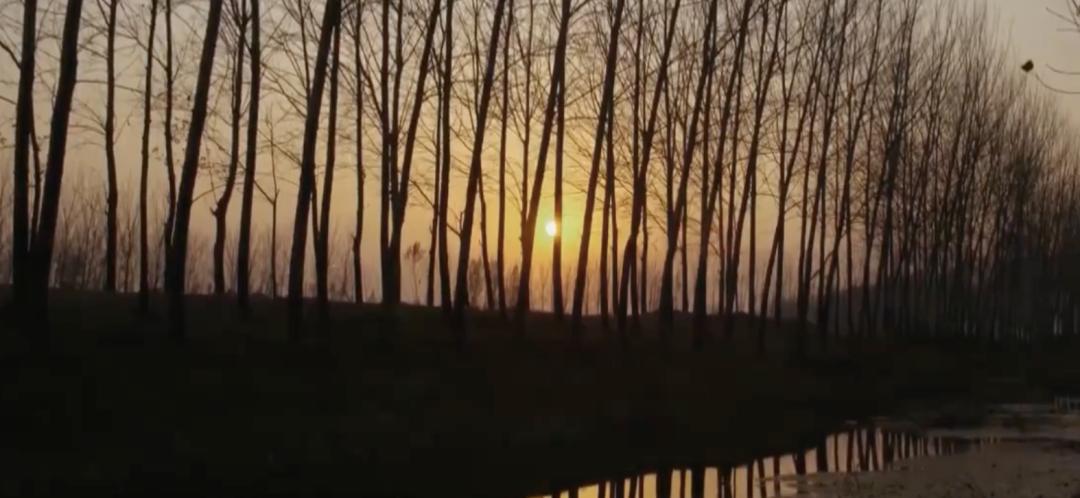 “我红了,她走了”