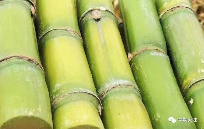 春节买水果六种水果不能忘,过年买什么水果代表平安吉祥