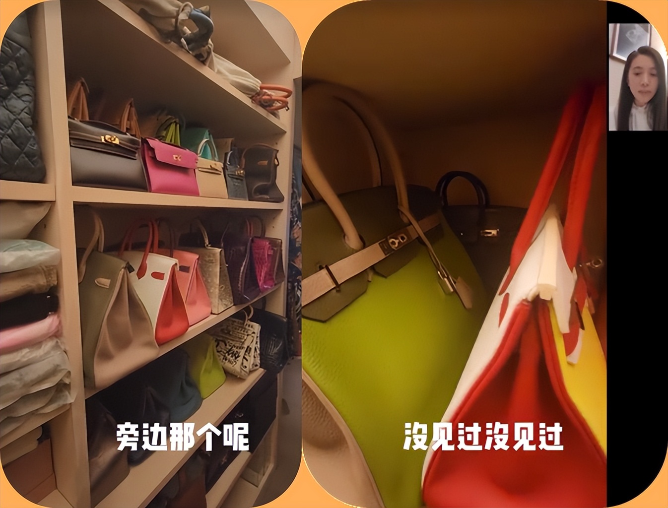 向太评价袁咏仪,向太给袁咏仪爱马仕