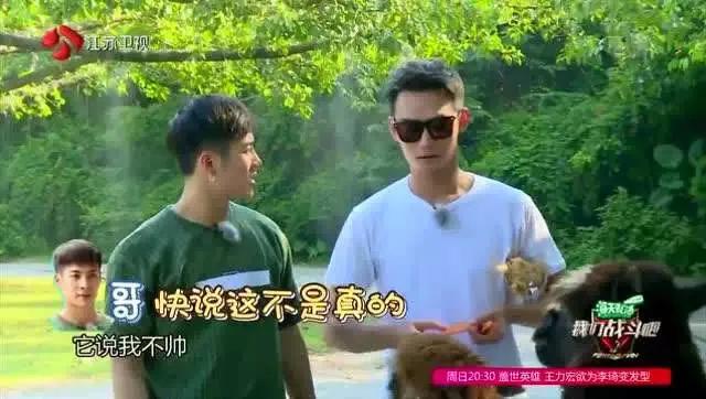 身高最高的七位男星谁是你的男神,五位身高最矮的男明星