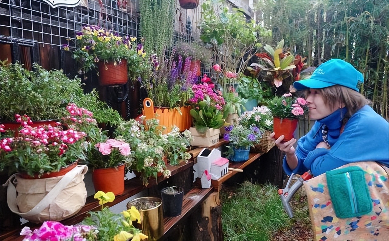 黄雅莉院子视频,黄雅莉在北京的房子