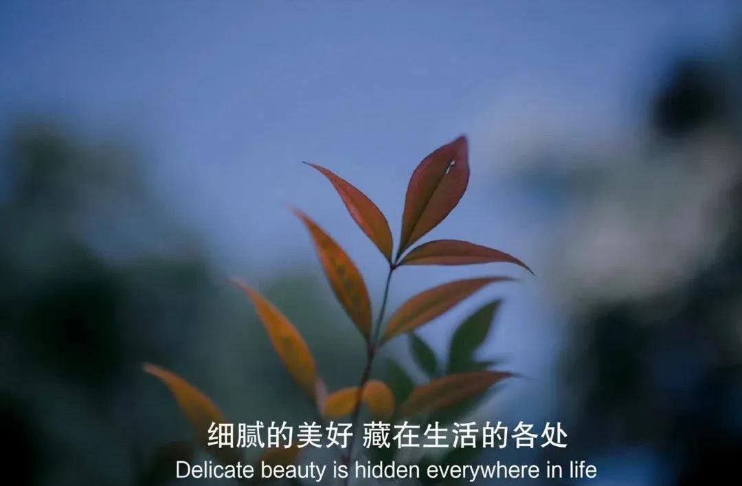 “北京大学也就是一所普通高校”