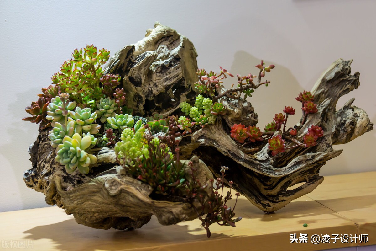 装修完放绿植去甲醛吗有影响吗,装修完放什么吸附甲醛