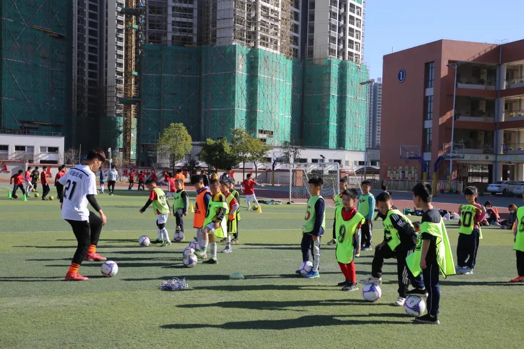 我为群众办实事学习教育主题活动,我为群众办实事教育视频