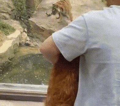 男子把狗吓尿,男子遇到怪物被吓尿