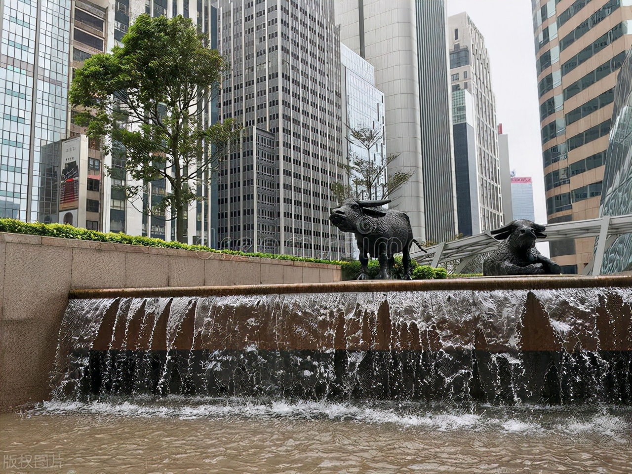 证券投资专题研究报告一：证券投资工具之股票（白话版）